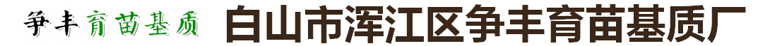 争丰育苗基质厂